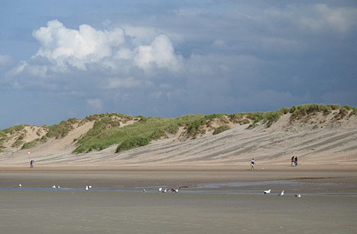 koksijde_duin_02