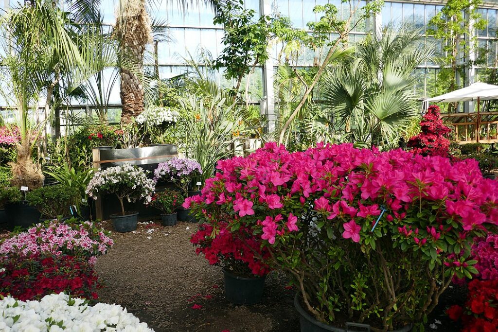 jardin_botanique_de_meise