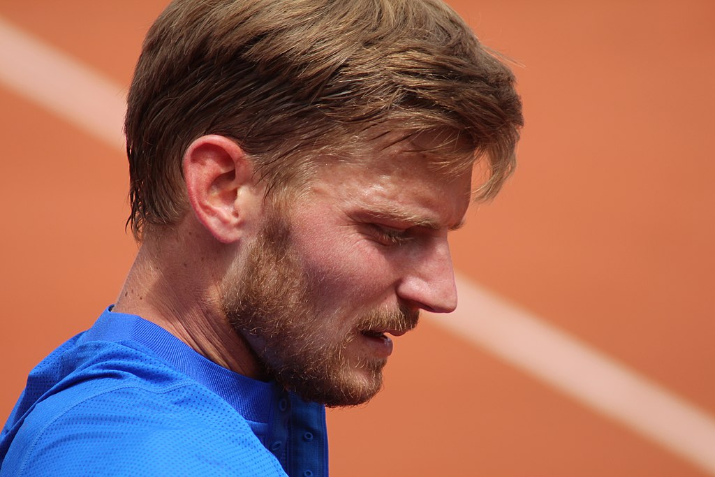 david_goffin_at_the_2019_french_open